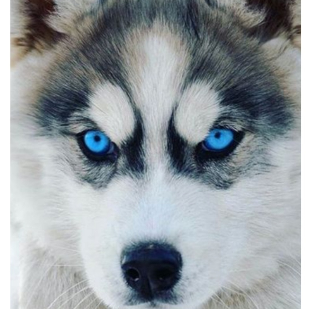 Meet your Posher, Corinna